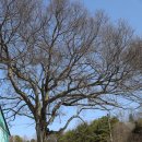 양지1리경로당 이미지