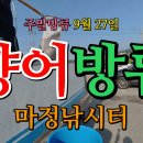 마정 Daum카페