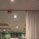 밸런스요가(야) | 20260218(수)_하타 수련일지