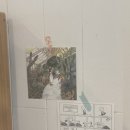 로지마이포지 이미지