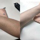 바디업 | 다이소 대용량 뽀송톤업리노이아 바디크림 솔직후기