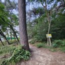 배산체육공원 풋살장 이미지