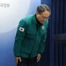 행정20 이미지