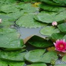 쉬자파크 이미지