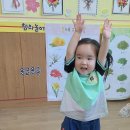 💛도담반 체육-신나는"DDR"놀이🎵 이미지