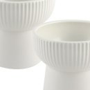 도그아이 이미지