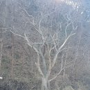 경기둘레길 가평21코스 이미지