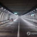 간선-31 이미지