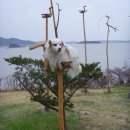 노을자리 이미지