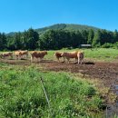 대곡목장 이미지