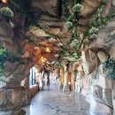 마이다스의손 이미지