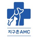 코카 24시 동물병원 이미지