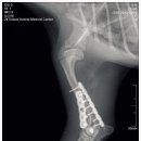 광교호수 동물병원 이미지