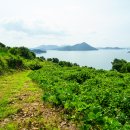 상화도항 이미지