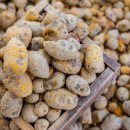 아리랑몰 이미지