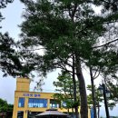 시크릿블루 카페&펜션 이미지