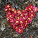 옥림해안 이미지