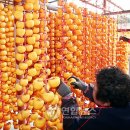 이재혁 농장 이미지