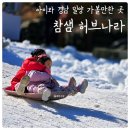 참샘길 | 부산근교경남 아이와 가볼만한 곳 &#39;참샘허브나라&#39; 눈썰매장 겨울여행지