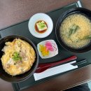 파워훼미리 | 도쿠시마 2박3일 여행 경비 : 일본 소도시 여행 추천