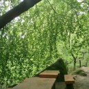 숲속 정원 이미지