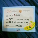 메디아이 | 35주 3일 조산 니큐 자연분만 폐성숙 노원메디아이 자분 출산 후기