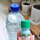 (주)암비츠 | 뿌리파리 퇴치 빅카드 가장 효과적인 사용 방법