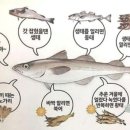 향숙이네식당 이미지