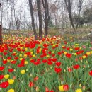 시며생각 ㅡ오직하나 이미지