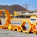 꿀벌랜드 이미지