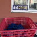 세차의고수 명륜점 이미지