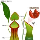 성남과일 이미지