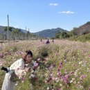 황산공원 농구장 이미지