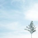 소소한이야기 이미지