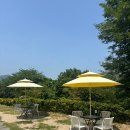 브라운피크닉 이미지