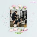 밸런스짐 PT 헬스 | 인계동PT 밸런스짐 다이어트 성공 후기