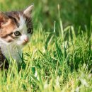 동행동물병원 이미지