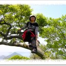 외연도3 이미지