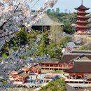 TOP 골프랜드 이미지