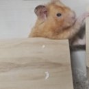 기독간호대학교 | 광주 양림동 맛집 한옥식당 후기