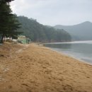 진촌해수욕장 Daum카페