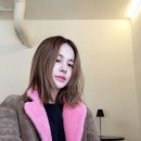 아이비 이미지