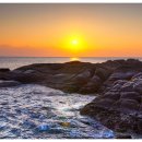 김기태법무사행정사 이미지