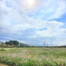 9월 셋째주~ 2주간 일상