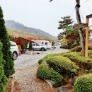 옥과청과