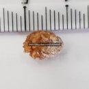 엘앤에스비뇨기과의원 이미지