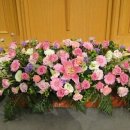 방배천로 126 이미지