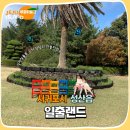 삼달리-5 | 성산일출봉 인근 가볼만한 곳 삼달리 일출랜드 족욕체험까지