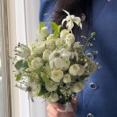 더케이에델바이스 이미지