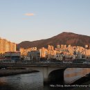 장산해수온천 티스토리